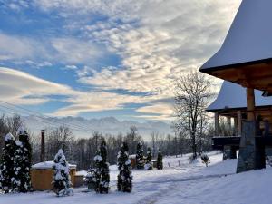 NA SKRAJU LASU domki z balią, jacuzzi a l'hivern