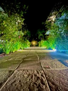 una calle vacía de noche con árboles y plantas en Cond Solar Lagoa dos Pássaros en Praia do Forte