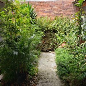 En have udenfor Casa Guapa Coliving