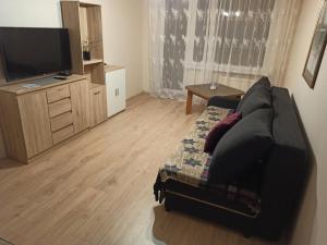 a living room with a couch and a flat screen tv at Rapunselė in Mažeikiai