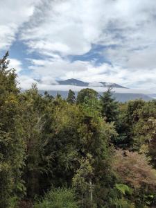 une forêt d'arbres avec des montagnes en arrière-plan dans l'établissement Casa Aoni, à Puerto Montt