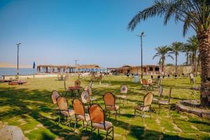 un grupo de sillas sentadas en el césped cerca de la playa en Tunis Beach Families Only en Fayoum