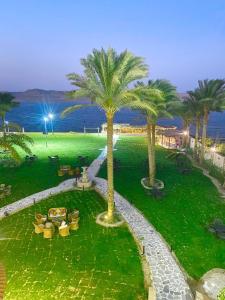 a park with palm trees and chairs and the ocean at Tunis Beach Families Only in Fayoum Center