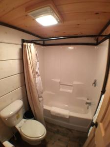 a bathroom with a toilet and a bath tub at Tiny Home Cottage Near the Smokies #11 Mina in Sevierville