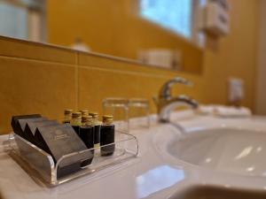 a bathroom with a sink and five bottles on a counter at Hotel Sfinksas in Kaunas