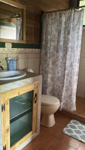 ein Badezimmer mit einem WC, einem Waschbecken und einem Spiegel in der Unterkunft CASITAS GINGER in Quepos