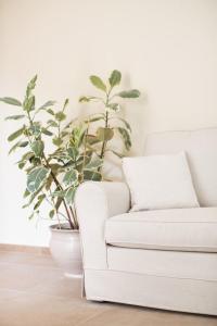 A seating area at Home by Massi