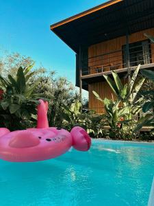 - un flottement rose dans une piscine à côté d'une maison dans l'établissement Kanoa Lodge - Adults and 13 plus only, à Pavones