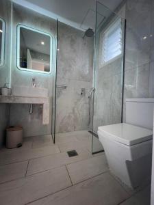 uma casa de banho com um chuveiro, um WC e um lavatório. em Trenta Nove Studios em Plános