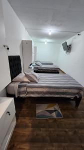 een slaapkamer met een groot bed in een kamer bij Residencial F y V Spa in Rancagua