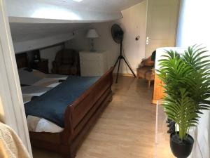 a bedroom with a bunk bed and a potted plant at la cave in Montoire-sur-le-Loir