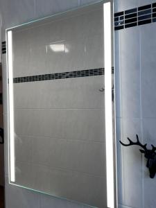 a shower with a glass door in a bathroom at Schwarzwald-Blick Lenzkirch-Saig in Lenzkirch