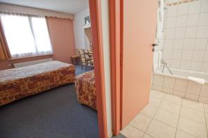 Vannituba majutusasutuses Etoile des Neiges Hôtel et Piscine
