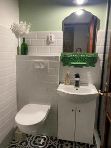 Un baño con inodoro, lavabo y espejo. en Pensiunea Iona, en Baia Mare 22 fotos más