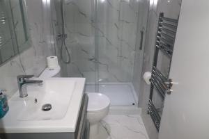 a bathroom with a sink and a shower and a toilet at Ground Floor 1 Bed Flat Dartford- 1 - Fully Equipped - Fibre Wifi - AIRPORT PICK-DROP AVAILABLE in Dartford