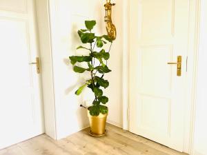 a plant in a gold vase next to a door at FILMAP-Apartments-Zentrale Lage-Boxspringbett-Beamer-Popcorn-gratis Parkplatz in Görlitz
