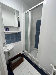 a bathroom with a shower and a sink at 4 pièces à Créteil avec parking près du centre/lac in Créteil