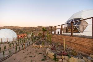 a greenhouse in the desert with cactuses and a dome at Timlalin Dome in Tamri