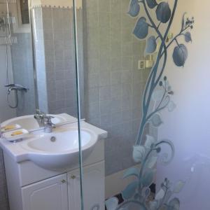 een badkamer met een wastafel en een douche bij Ty Calon Lan in Montazels
