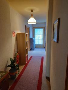 TV a/nebo společenská místnost v ubytování Ferienwohnung Haus Gomig