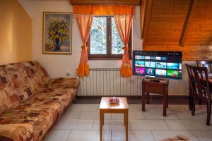 a living room with a couch and a tv at Vila Milica Apartmani in Kopaonik