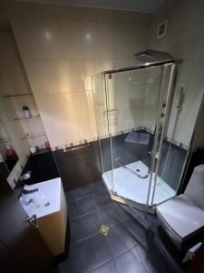 a bathroom with a shower and a toilet and a sink at Lost in Tbilisi in Tbilisi City +8 photos