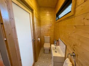 a small bathroom with a toilet and a sink at Horse Island View Luxury Retreat in Kircubbin