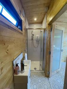 a bathroom with a shower and a white sink at Horse Island View Luxury Retreat in Kircubbin