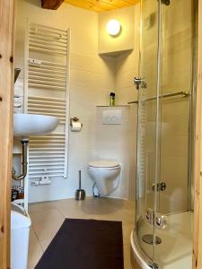 a bathroom with a shower and a toilet and a sink at Gästehaus Keins wie meins in Bad Hersfeld