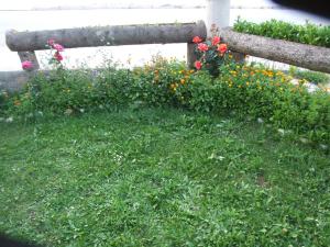 Giardino di Šćekić Accommodation