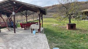un refugio de picnic con una mesa de picnic y un árbol en Cabana Nicu Odverem, en Lopadea Nouă