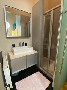 a bathroom with a white sink and a shower at B&B Jacqmain in Brussels