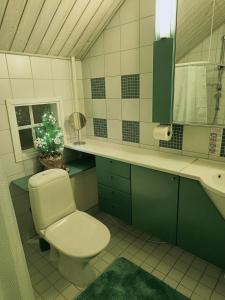 une salle de bain avec toilettes, lavabo et fenêtre dans l'établissement Kuura Arctic Circle, à Rovaniemi 21 autres photos