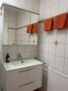 バート・ツヴィッシェンアーンにあるFewo-Hoeflich-Hermann-2のバスルーム(洗面台、鏡付)
