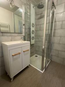 a bathroom with a shower and a sink and a mirror at Christelle in Romilly-sur-Seine