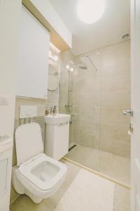 福克沙尼的住宿－Cochet Studio，一间带卫生间和淋浴的浴室