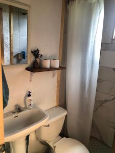 uma casa de banho com um WC, um lavatório e um espelho. em Tiny House, Tiny Black Frutillar em Frutillar