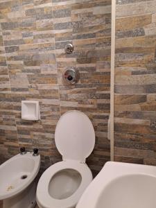 Ένα μπάνιο στο Céntrico con vista al lago