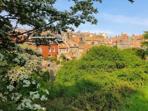 a group of houses on a hill with trees at Bramblewick Cottage in Robin Hood's Bay