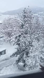 SNOW NEST: Superbe cocon enneigé ziemā