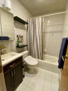 a bathroom with a toilet and a tub and a sink at Carriage House Williamsburg Brooklyn NYC HUGE STUDIO in Brooklyn