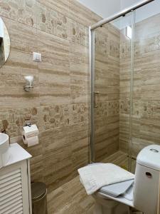 a bathroom with a shower and a toilet at Homeland Center Cluj in Cluj-Napoca