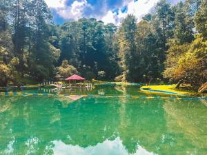 a lake with a gazebo in the middle of a forest at Hotel Xucaneb in Cobán