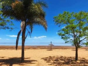 two palm trees and an umbrella on a beach at Alojamiento Los Imigrantes in Chajarí