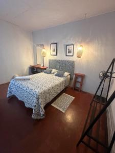 1 dormitorio con 1 cama con manta azul y blanca en Otorongo Guest House, en Iquitos