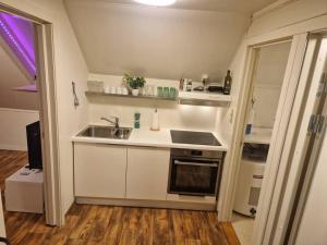 cocina pequeña con fregadero y fogones en Smaller apartment next to bridge, en Tromsø