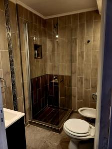 een badkamer met een douche, een toilet en een wastafel bij F&E Apartment in Necochea