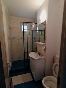 a small bathroom with a toilet and a sink at Concordia Apartament in Brăila +27 photos