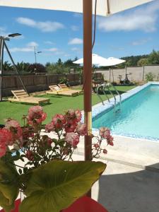 een uitzicht op een zwembad met bloemen en een parasol bij cabañas camino al totoral in El Quisco