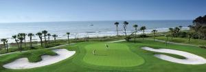 a golf course next to the ocean with palm trees at Luxury Updated 6 BR home Private Pool Near Ocean Bikes & Beach Gear Included in Hilton Head Island